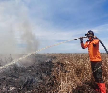 Ilustrasi Riau masih nihil Karhutla (foto/int)